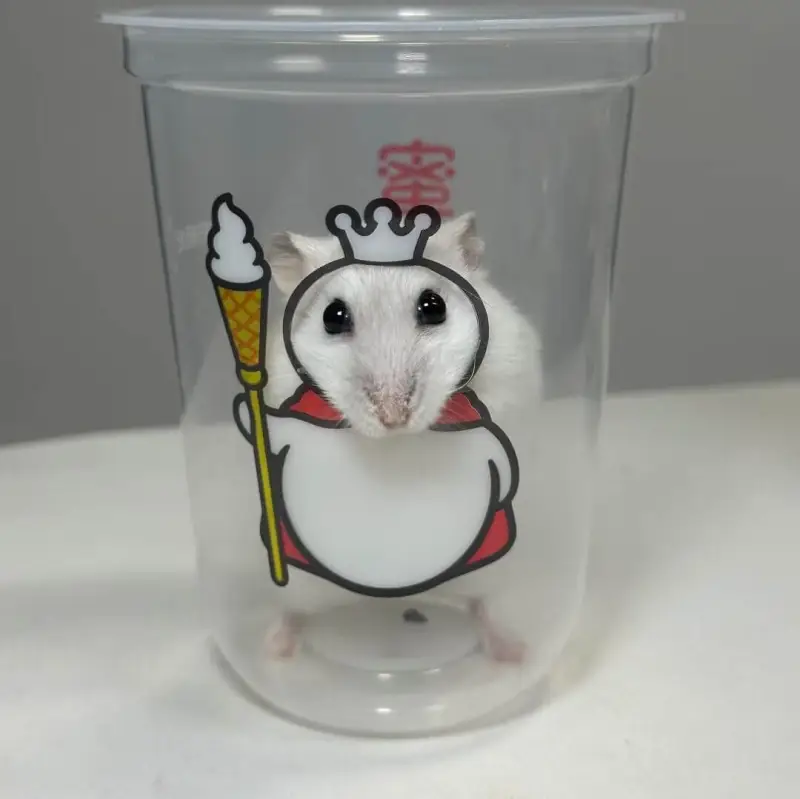 蜜鼠冰城