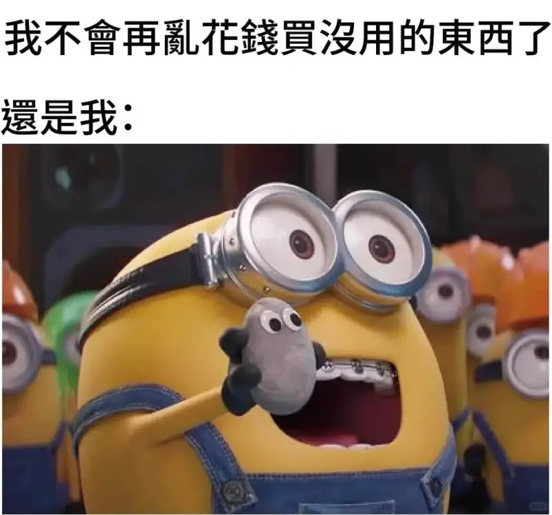 我不會再亂花錢買沒用的東西了還是我