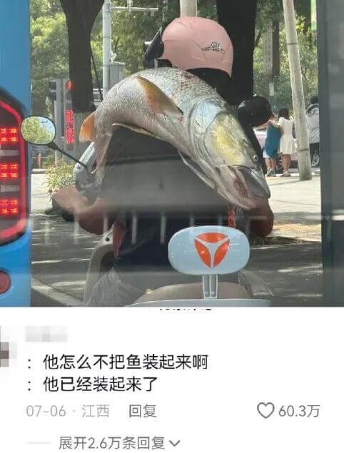 他怎么不把鱼装起来啊他已经装起来了07-06·江西回复60.