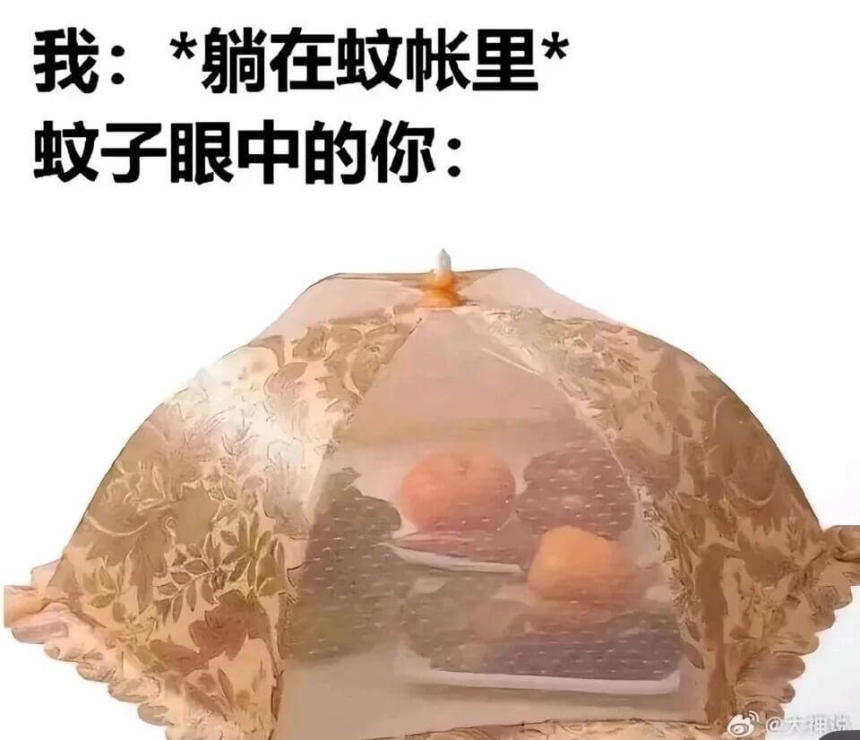 我：*躺在蚊帐里*蚊子眼中的你：