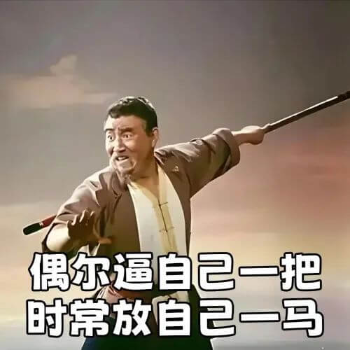 偶尔逼自己一把，时常放自己一马。