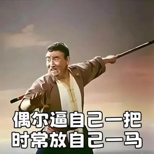 偶尔逼自己一把，时常放自己一马。