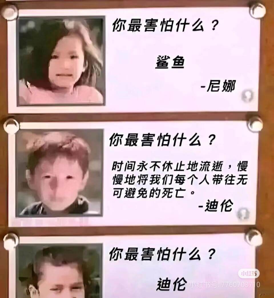 你最害怕什么?鲨鱼-尼娜你最害怕什么?时间永不休止地流逝，慢