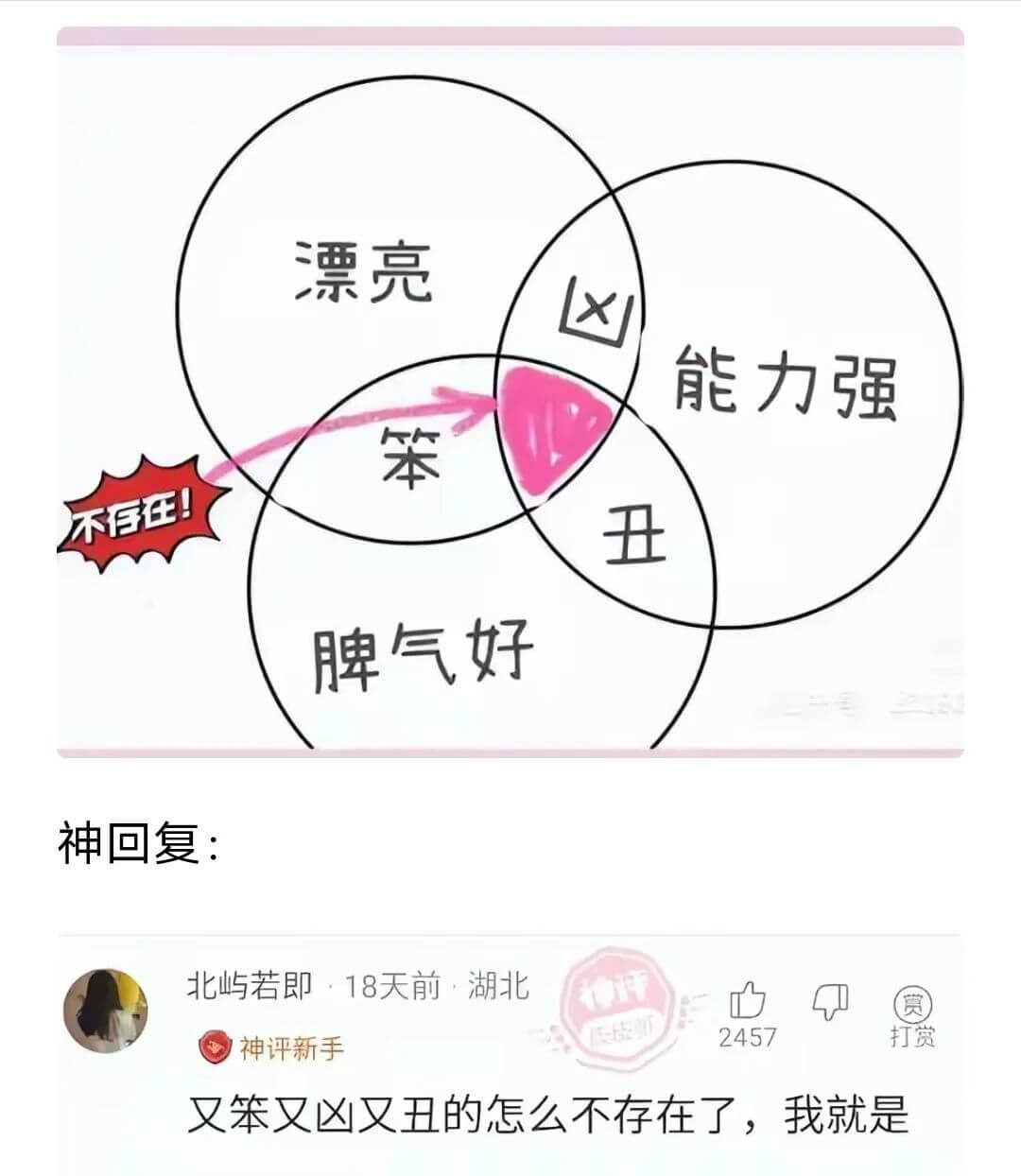 漂亮能力强笨丑不存在！脾气好神回复：北屿若即·18天前·湖北