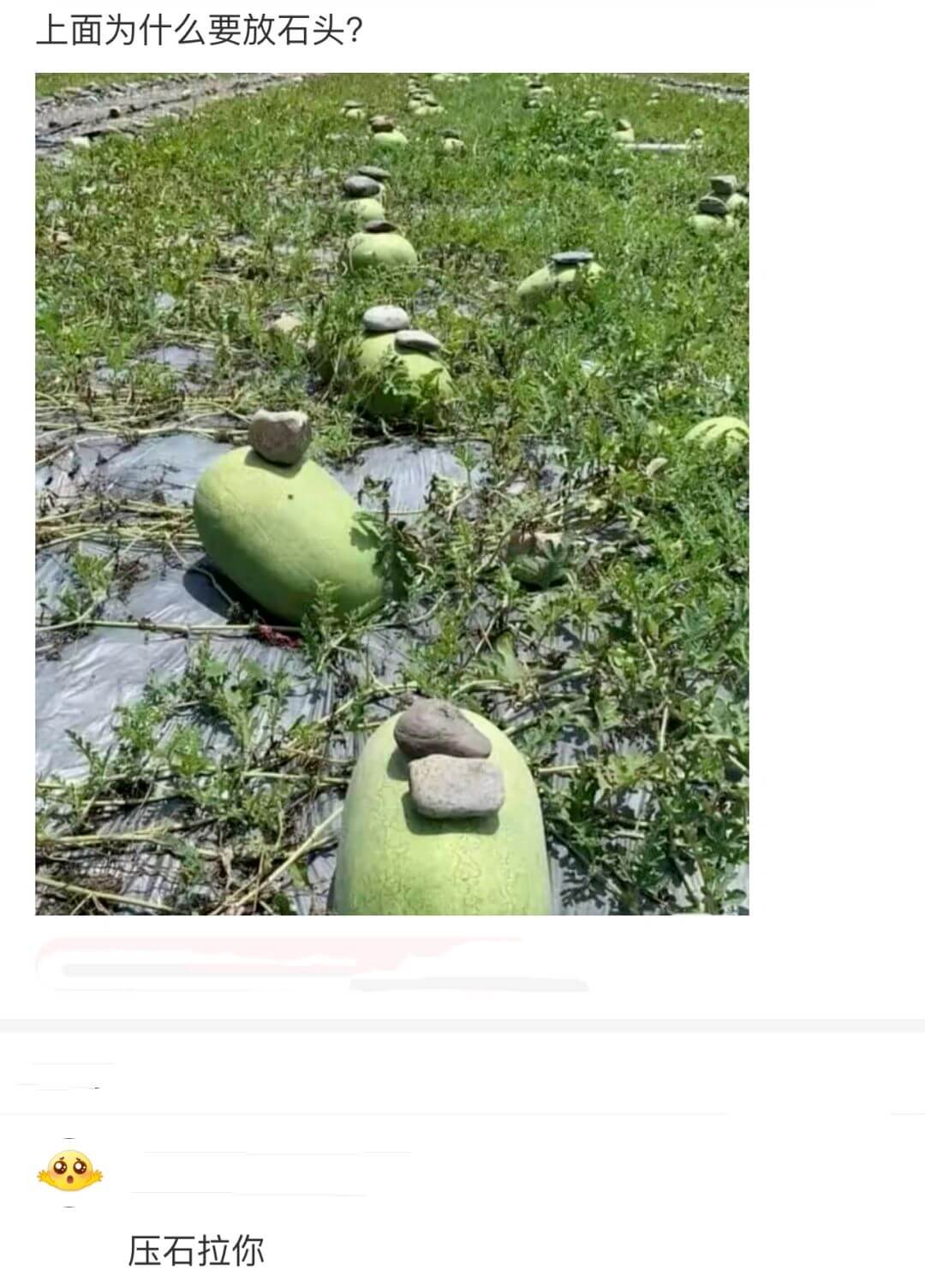 上面为什么要放石头？压石拉你