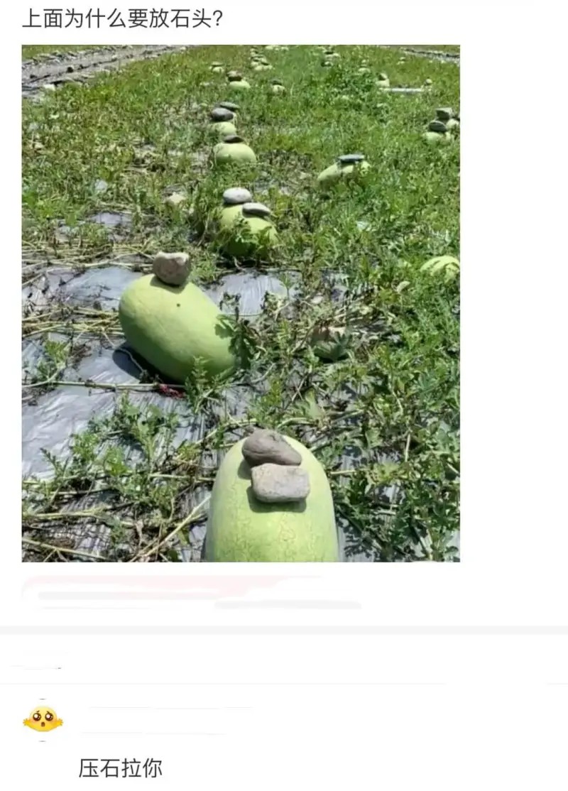 上面为什么要放石头？压石拉你