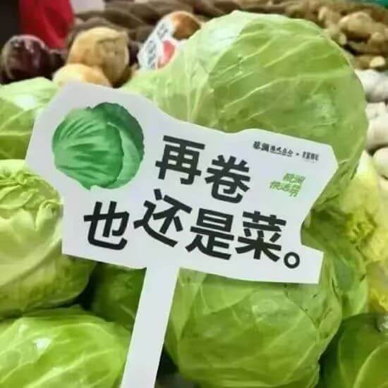 再卷也还是菜