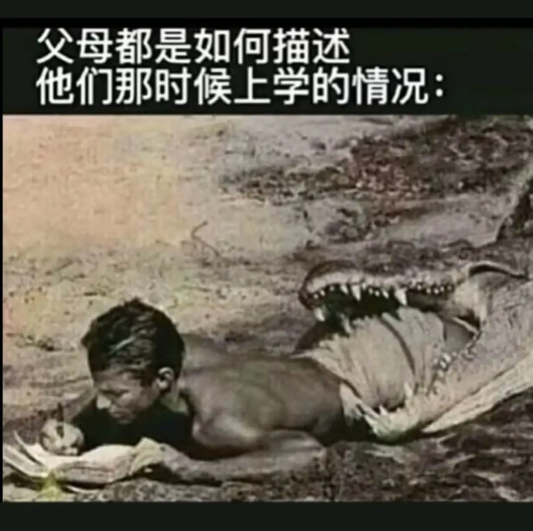 父母都是如何描述他们那时候上学的情况: