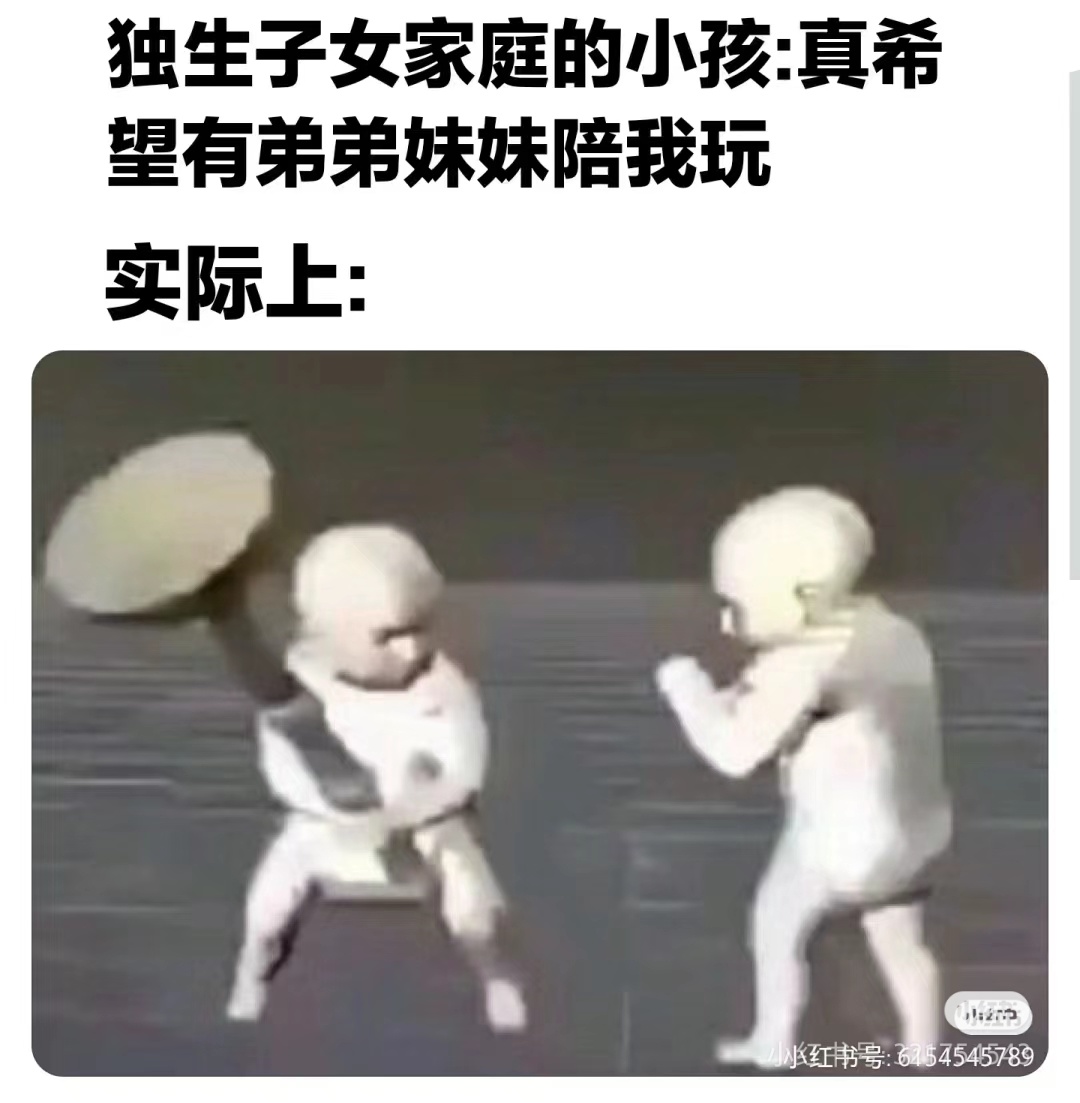 独生子女家庭的小孩：真希望有弟弟妹妹陪我玩。实际上：小红书号