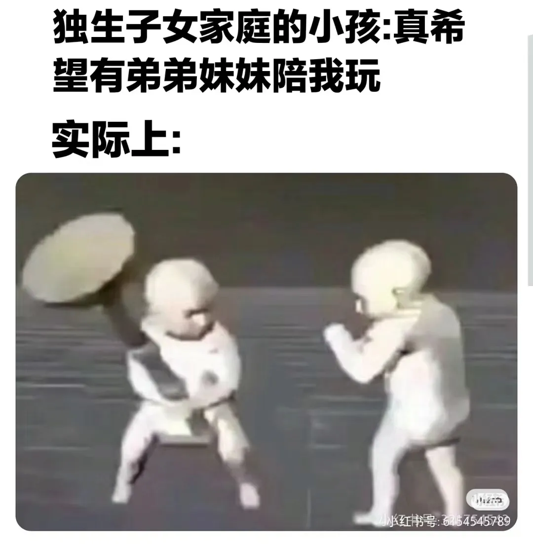 独生子女家庭的小孩：真希望有弟弟妹妹陪我玩。实际上：小红书号