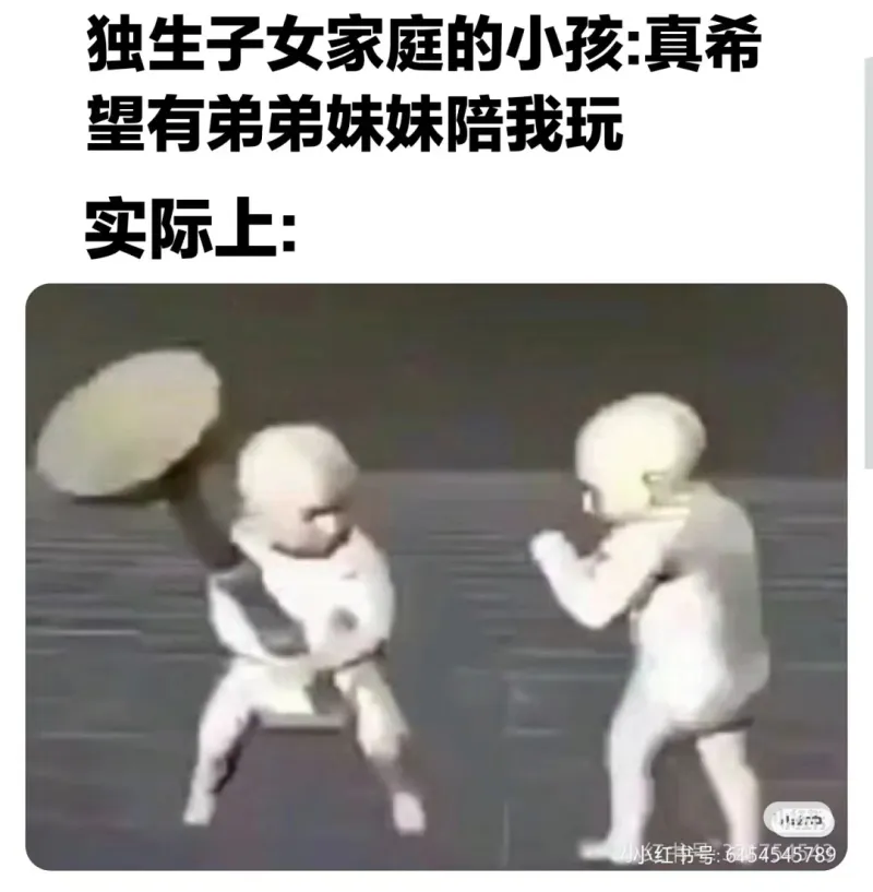 独生子女家庭的小孩：真希望有弟弟妹妹陪我玩。实际上：小红书号