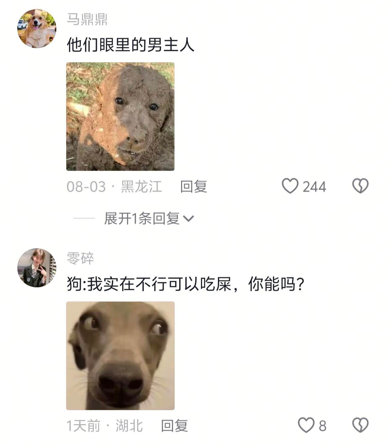 马鼎鼎他们眼里的男主人08-03·黑龙江回复244展开1条回