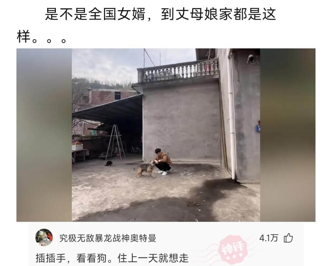 是不是全国女婿，到丈母娘家都是这样...究极无敌暴龙战神奥特