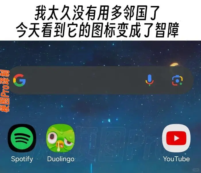 我太久没有用多邻国了今天看到它的图标变成了智障梗图Pro译制