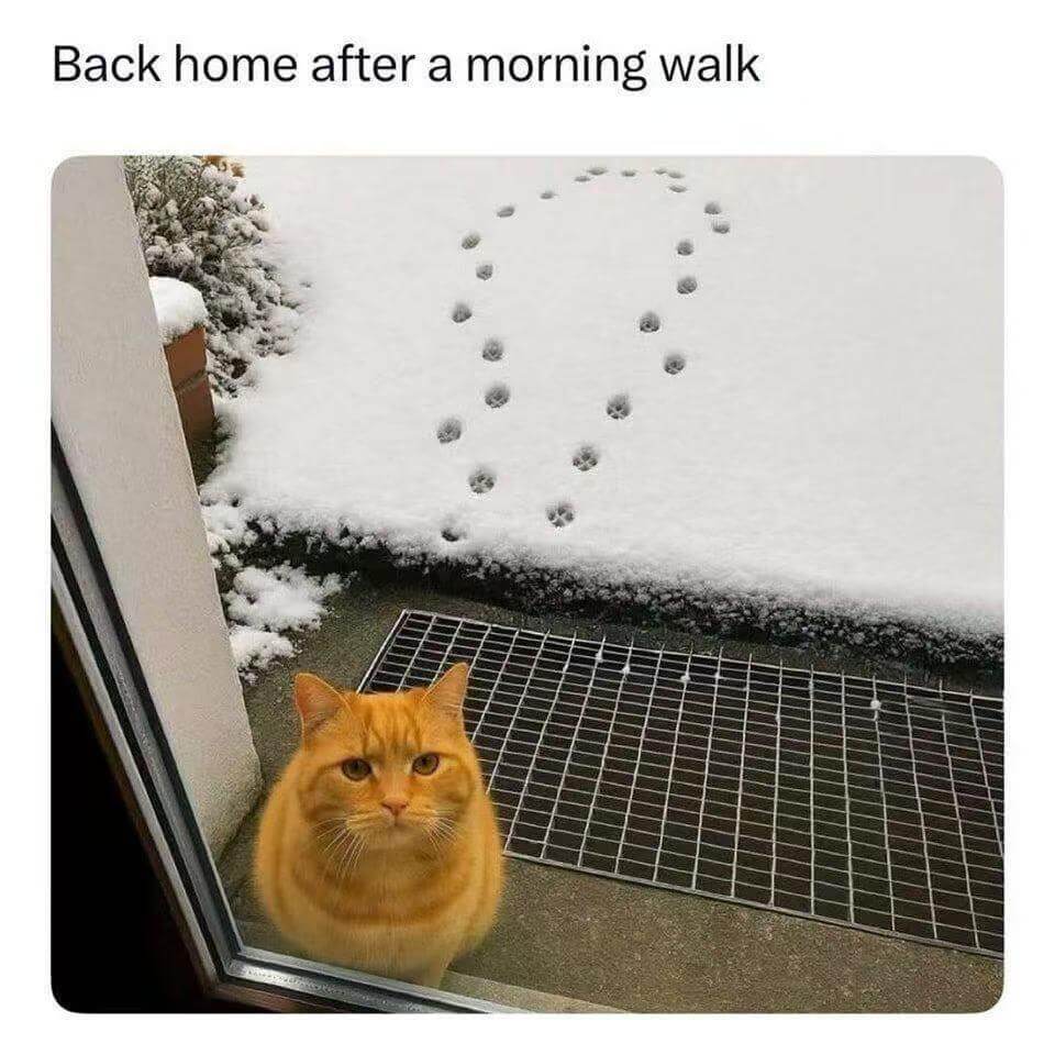 Backhomeafteramorningwalk