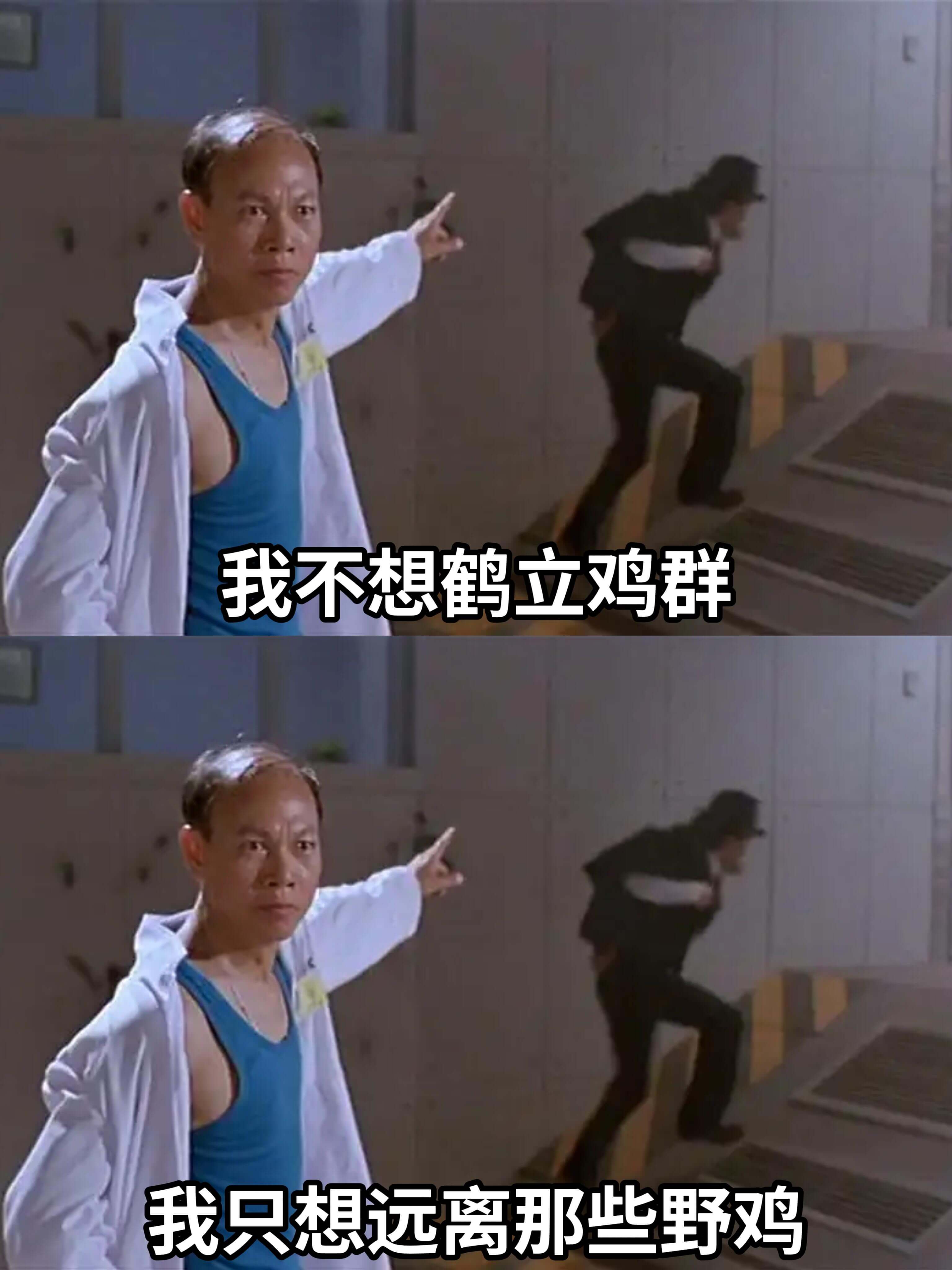 我不想鹤立鸡群