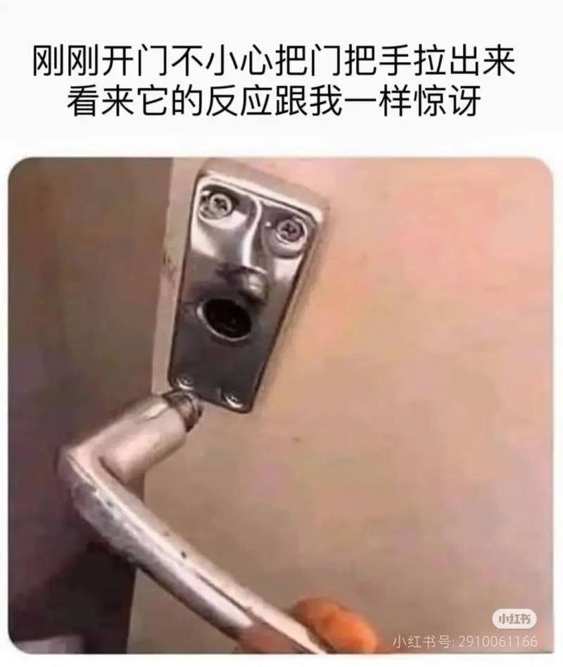 刚刚开门不小心把门把手拉出来，看来它的反应跟我一样惊讶。小红