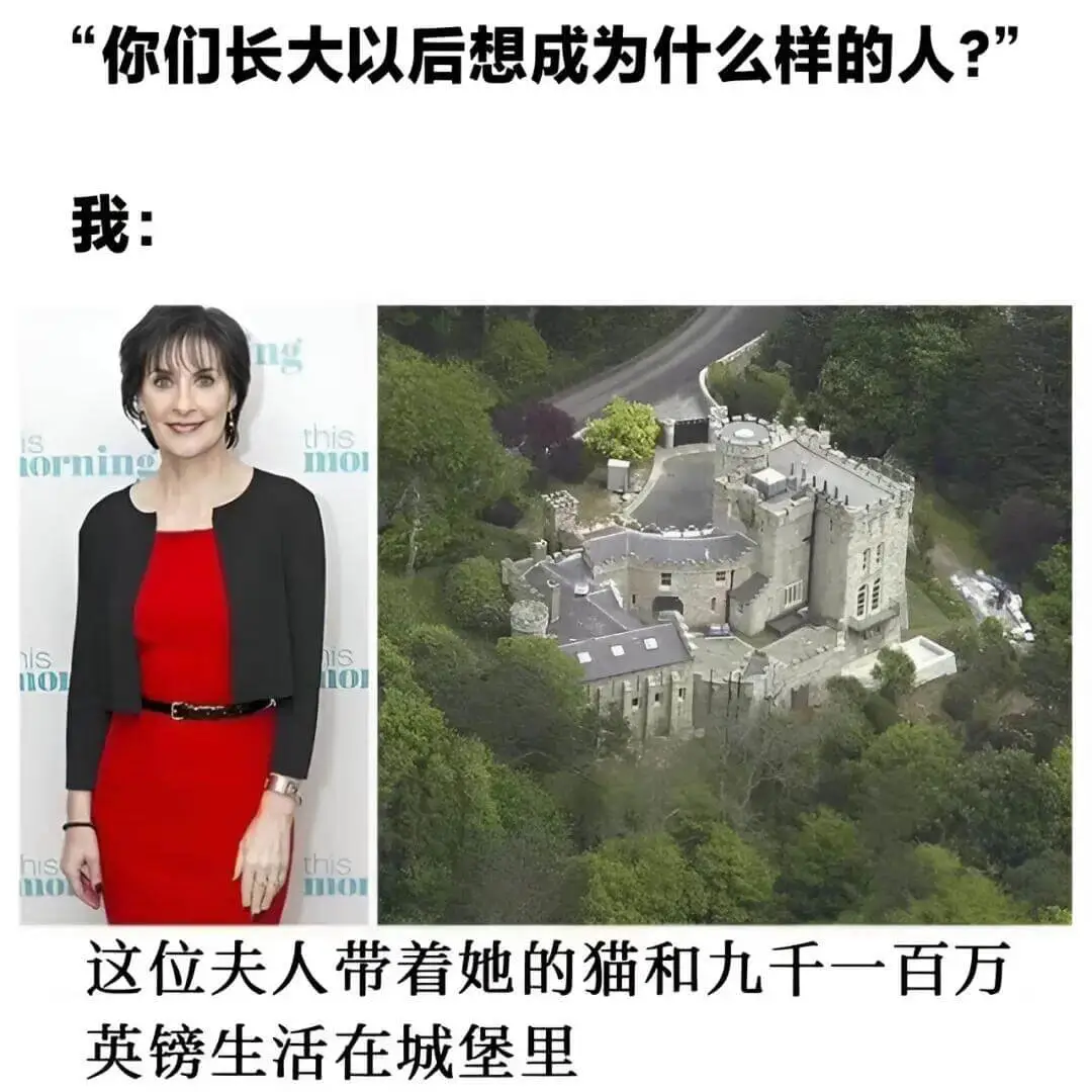 你们长大以后想成为什么样的人？”我：thisisnototh