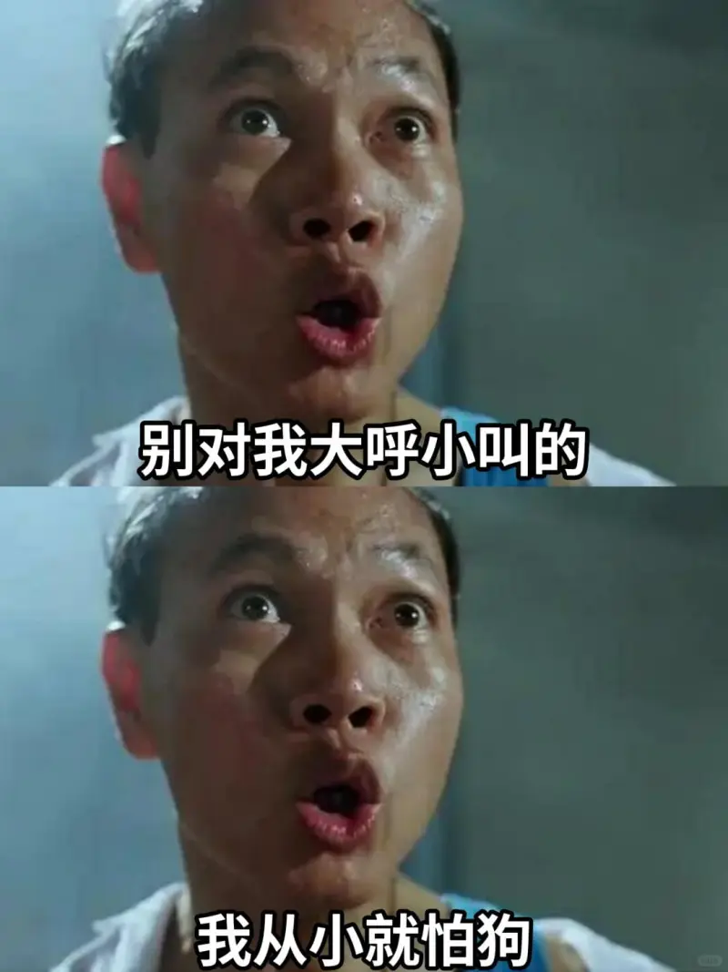 别对我大呼小叫的我从小就怕狗