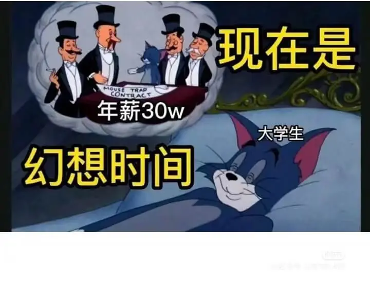 两现在是年薪30w大学生幻想时间