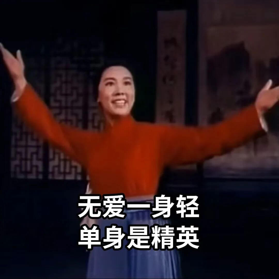 无爱一身轻单身是精英