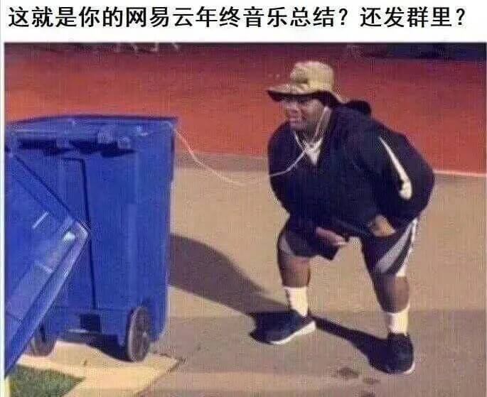 这就是你的网易云年终音乐总结？还发群里？