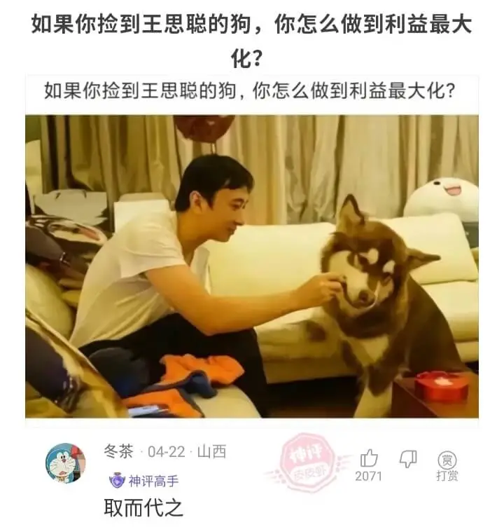 如果你捡到王思聪的狗，你怎么做到利益最大化?如果你捡到王思聪