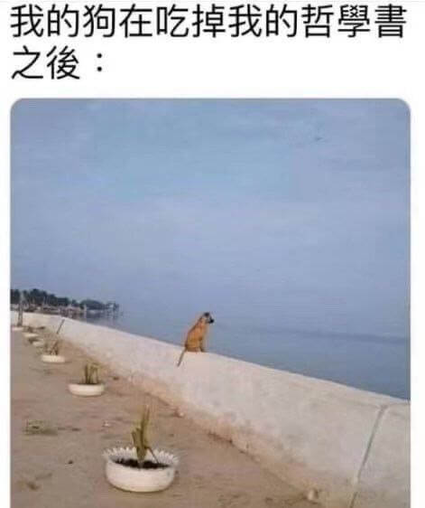 我的狗在吃掉我的哲書之俊：