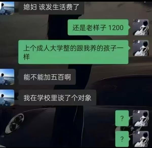 媳妇该发生活费了，还是老样子1200。上个成人大学整的跟我养