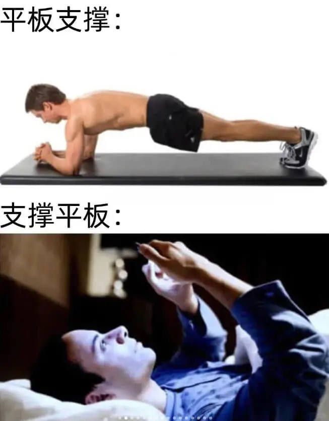 平板支撑:支撑平板