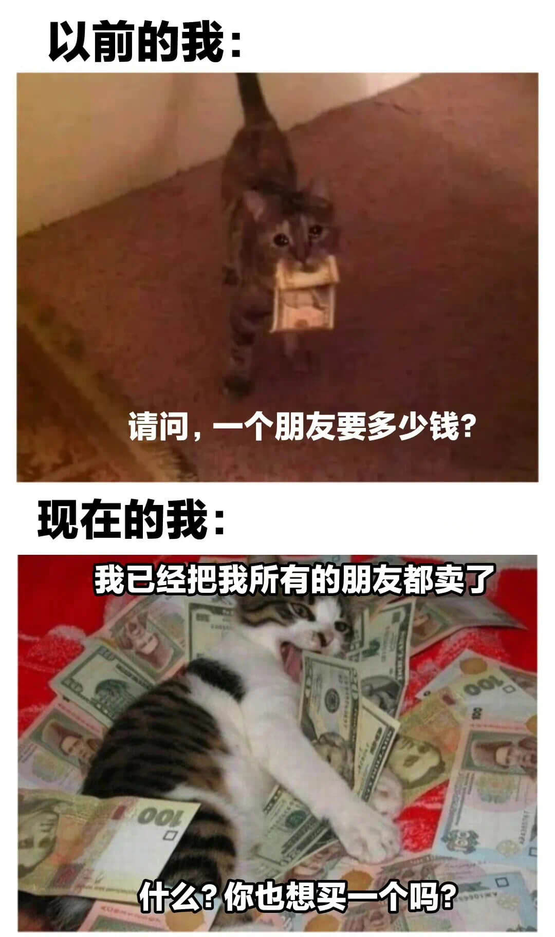 以前的我:请问，一个朋友要多少钱?现在的我:我已经把我所有的