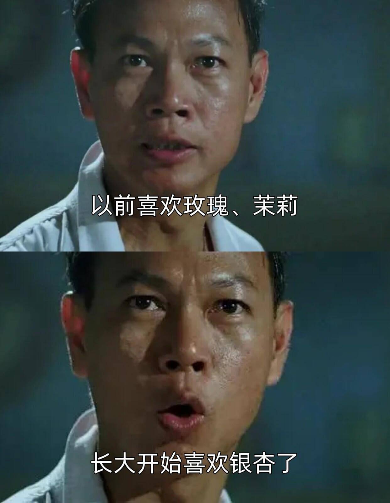 以前喜欢玫瑰、茉莉，长大开始喜欢银否了。