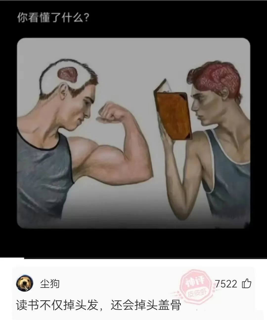你看懂了什么？尘狗神评7522口皮皮虾读书不仅掉头发，还会掉