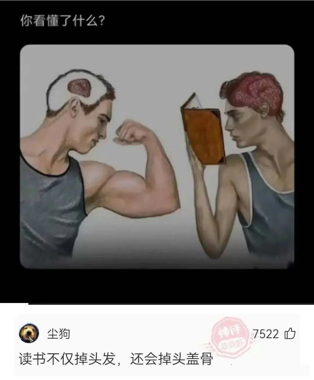 你看懂了什么？尘狗神评7522口皮皮虾读书不仅掉头发，还会掉