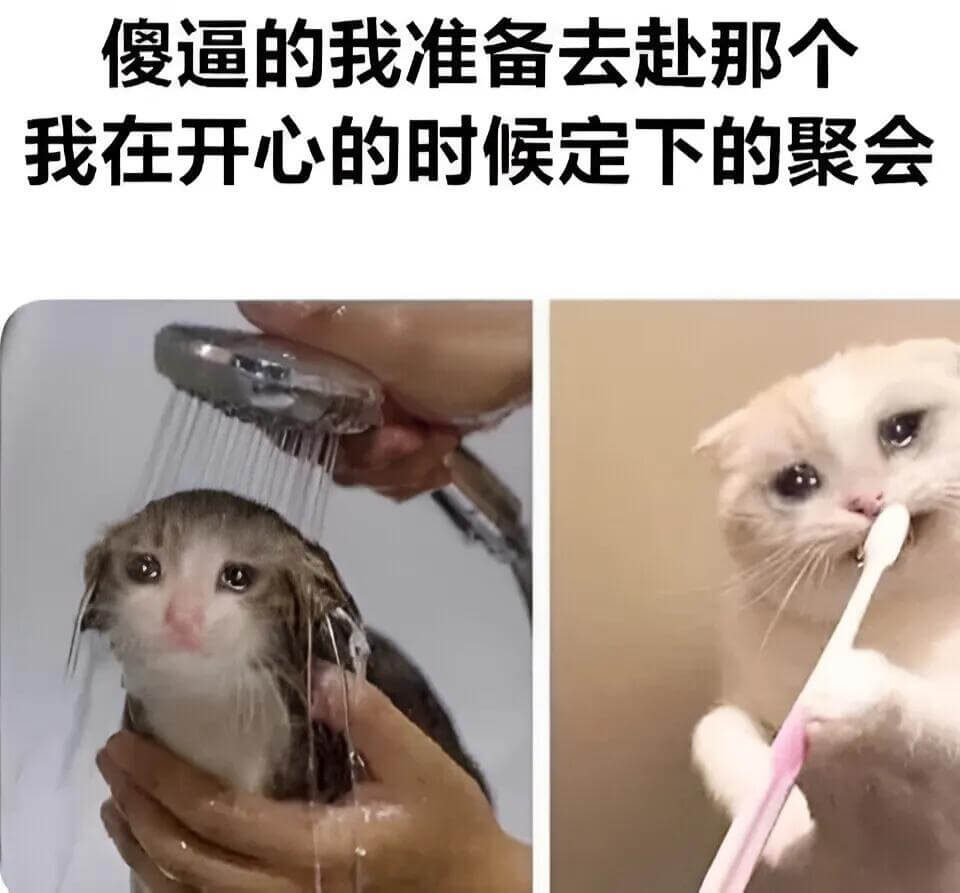 傻逼的我准备去赴那个我在开心的时候定下的聚会