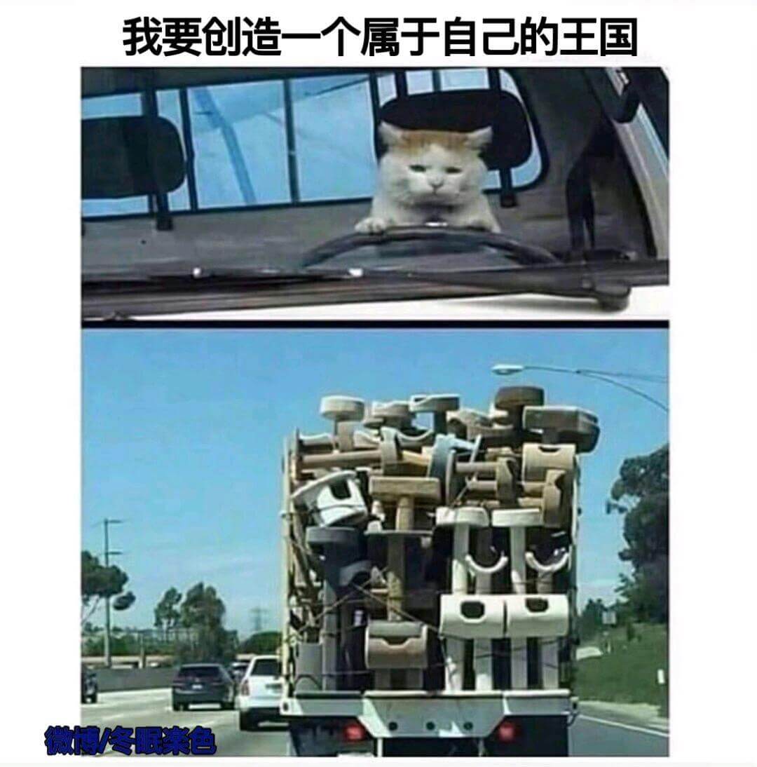 我要创造一个属于自己的王国微博/冬眠案色