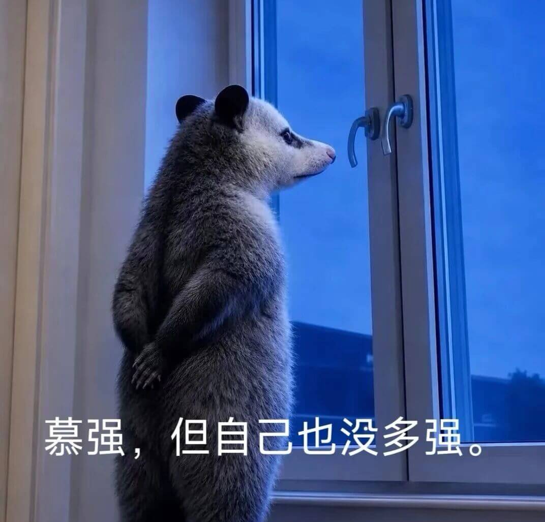 慕强，但自己也没多强。