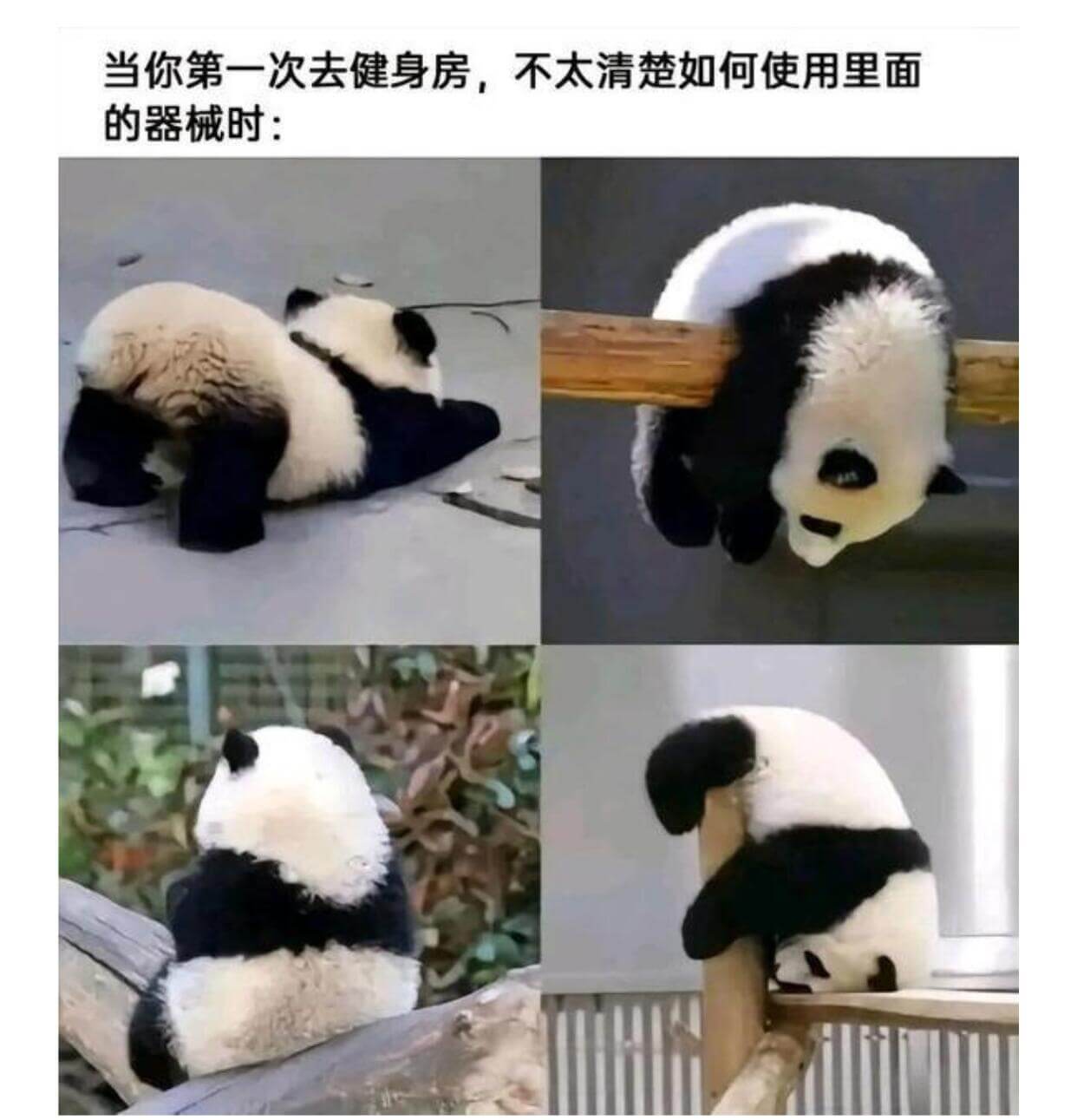 当你第一次去健身房，不太清楚如何使用里面的器械时：