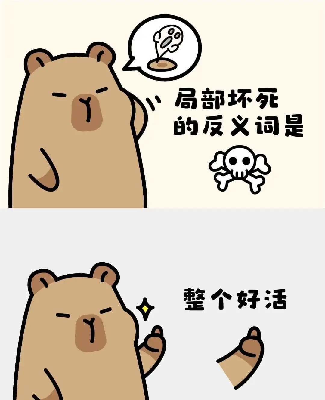 局部坏死的反义词是整个好活。
