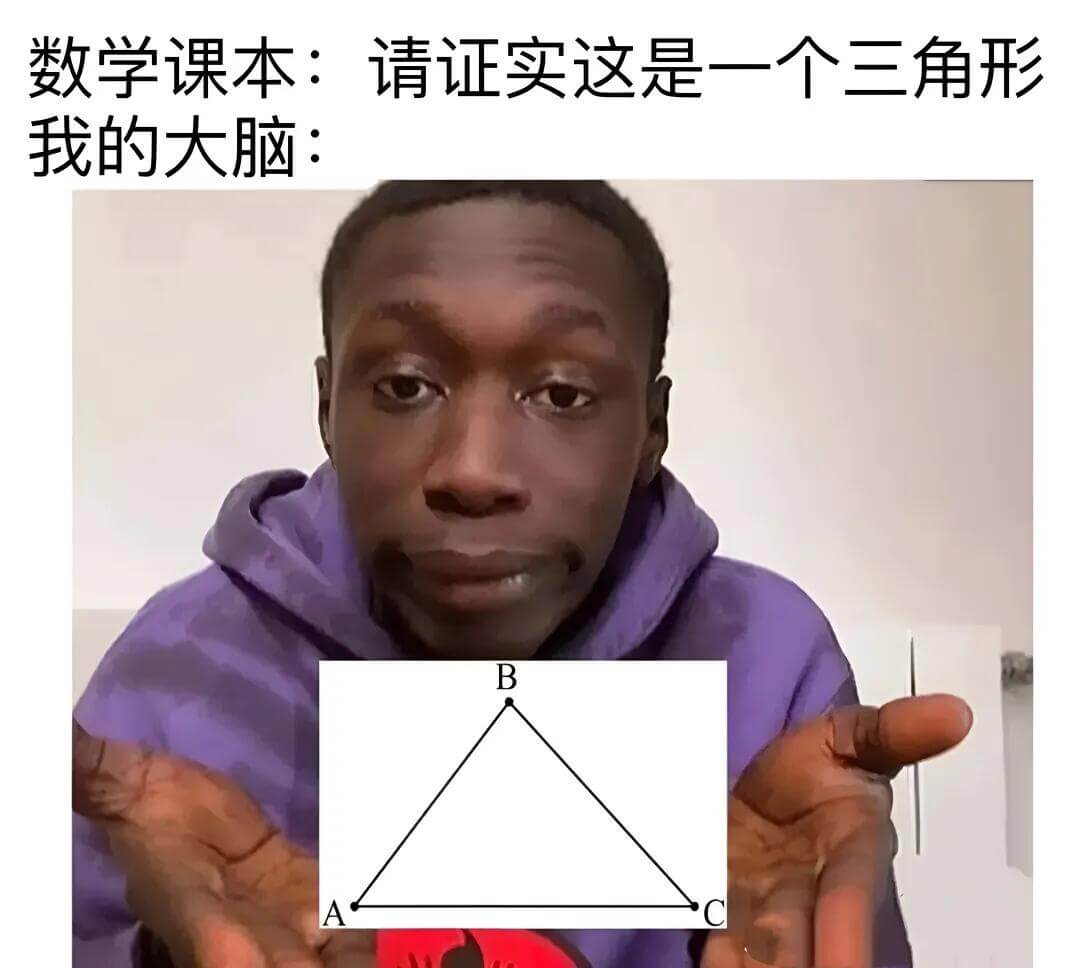 数学课本：请证实这是一个三角形我的大脑：
