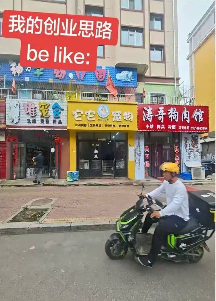 我的创业思路belike:唯宠涛哥狗肉馆宠物：洗澡、整容、用