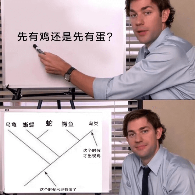先有鸡还是先有蛋？乌龟、蜥蜴、蛇、鳄鱼、鸟类，这个时候才出现