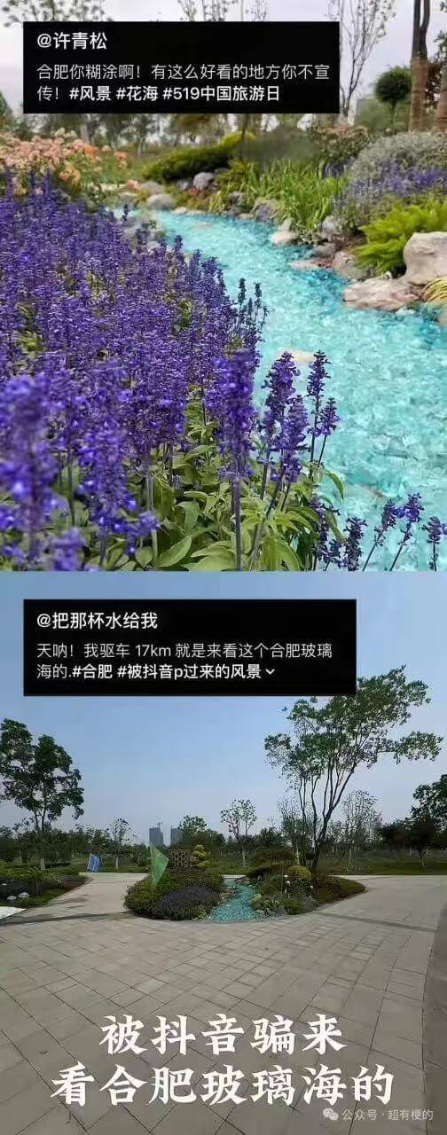 @许青松合肥你糊涂啊！有这么好看的地方你不宣传！风景花海51