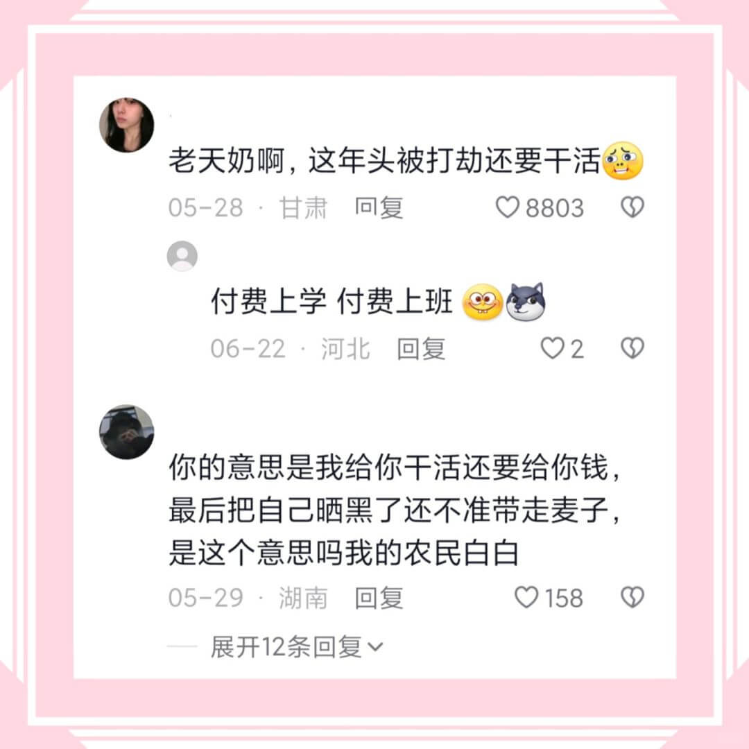 老天奶啊，这年头被打劫还要干活05-28·甘肃回复8803付