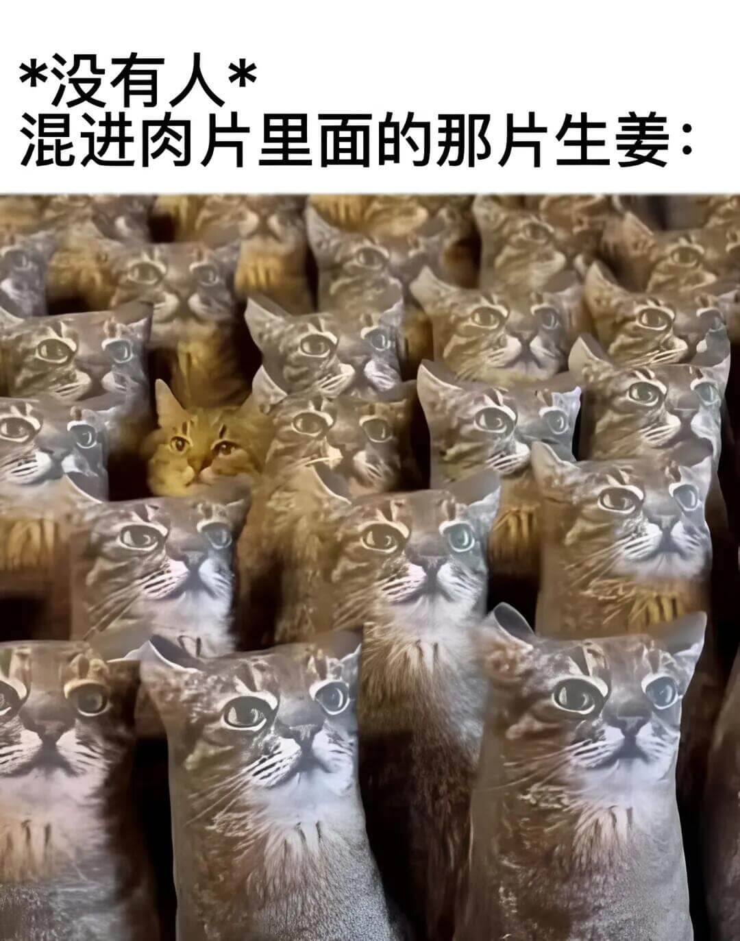 梗图