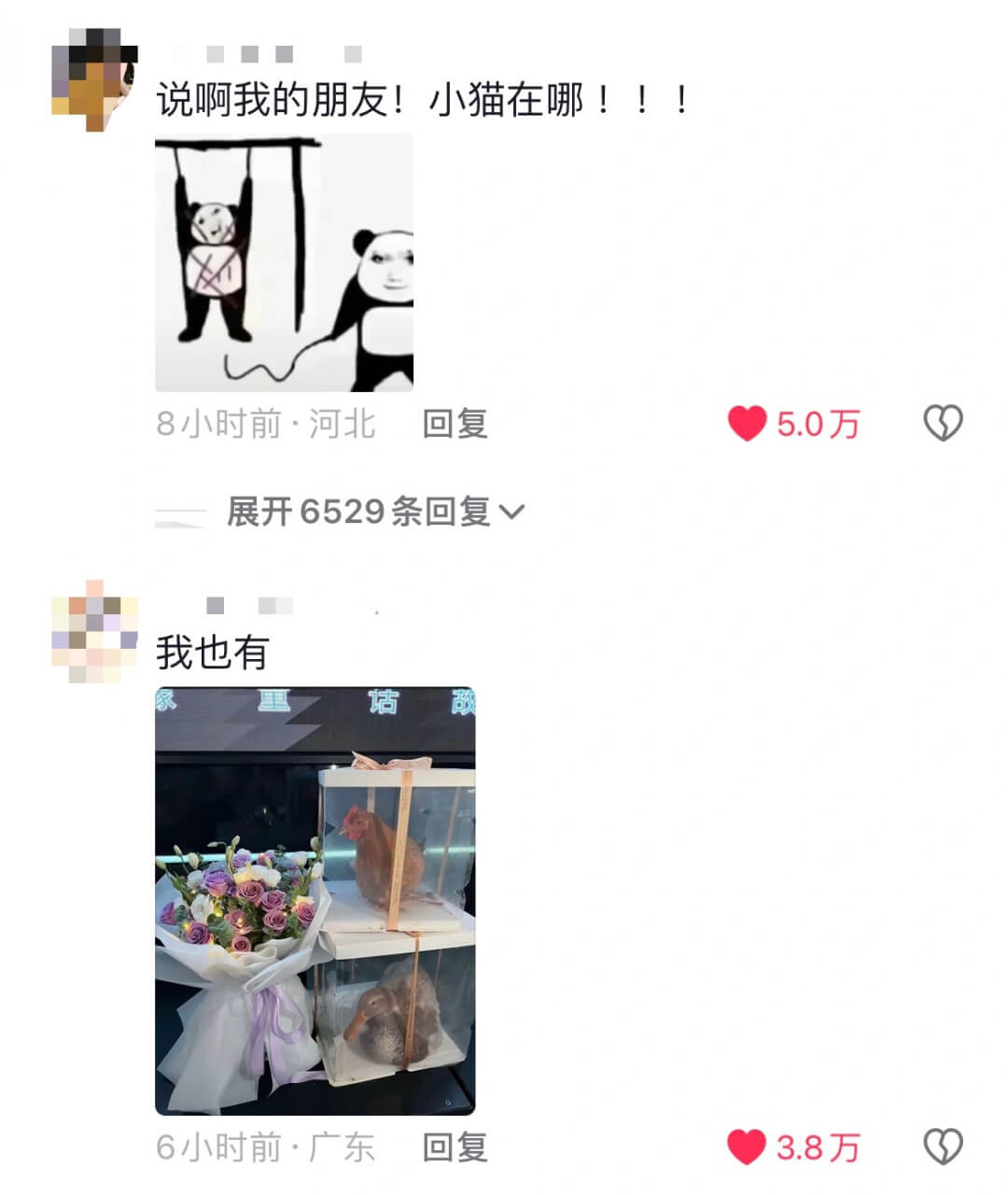 说啊我的朋友!小猫在哪!!!8小时前·河北回复5.0万展开6