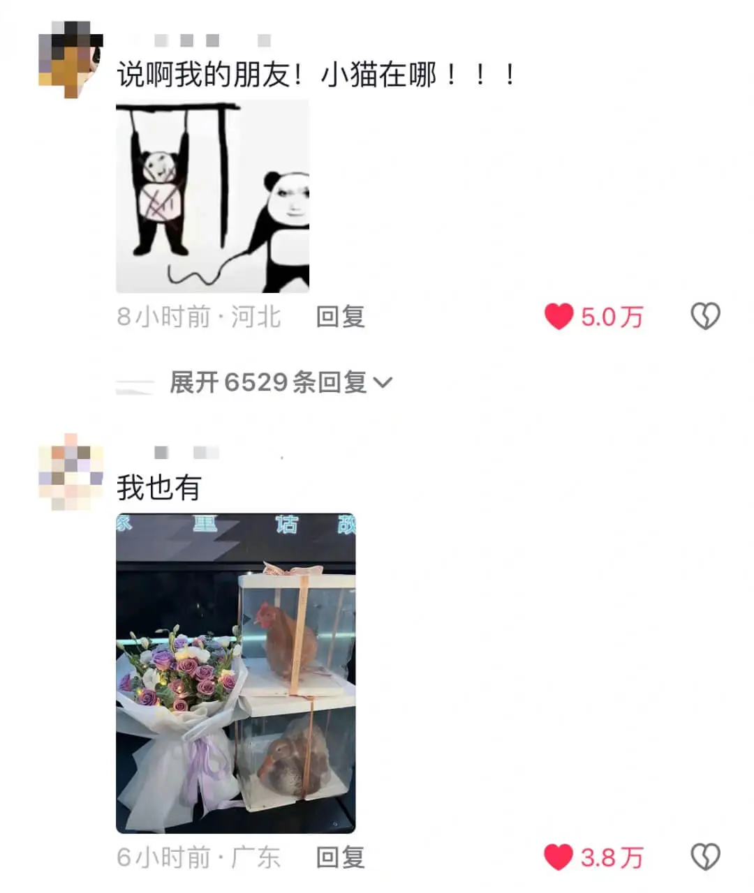 说啊我的朋友!小猫在哪!!!8小时前·河北回复5.0万展开6