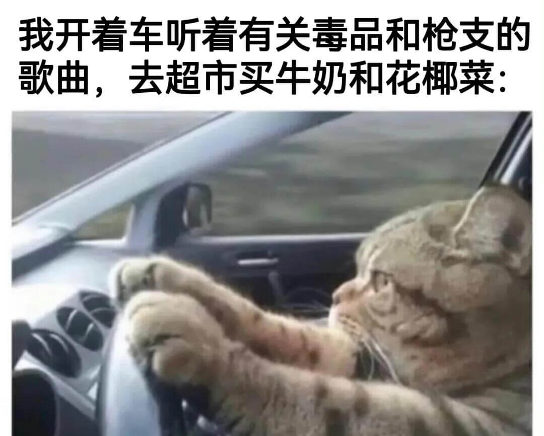 我看开车听有关毒品和枪支的歌曲，去超市买牛奶和花椰菜。