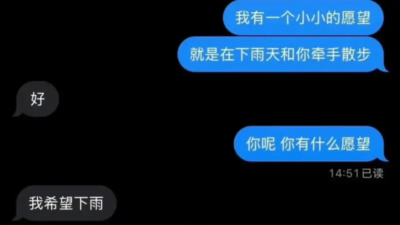 我有一个小小的愿望，就是在下雨天和你牵手散步。好，你呢？你有