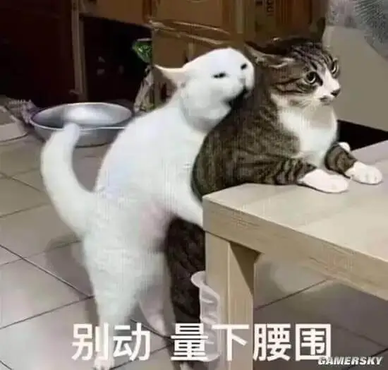 别动量下腰围AMERSKY